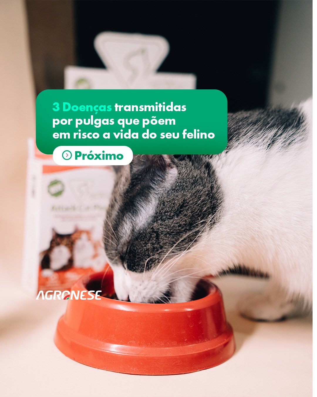 Nosso compromisso é com a saúde e o bem-estar do seu pet! 💚