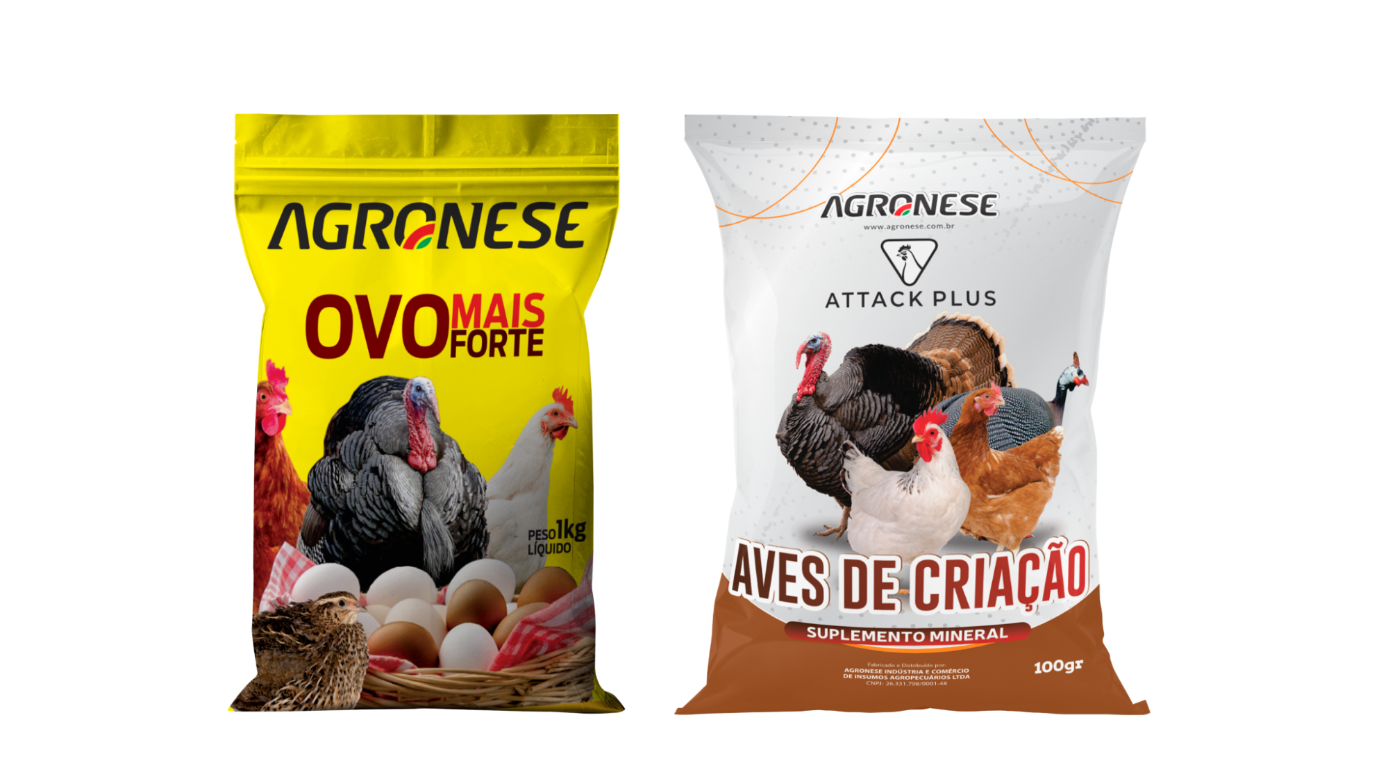 Vitamina para galinhas: como aumentar a produção de ovos e fortalecer a casca