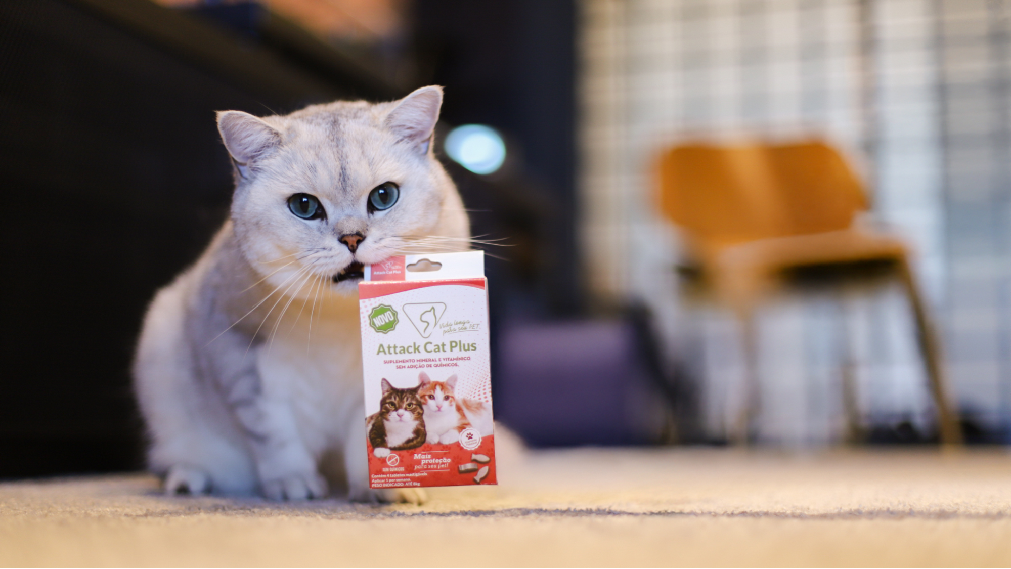 Pet saudável: como garantir boa imunidade em filhotes desde o início da vida