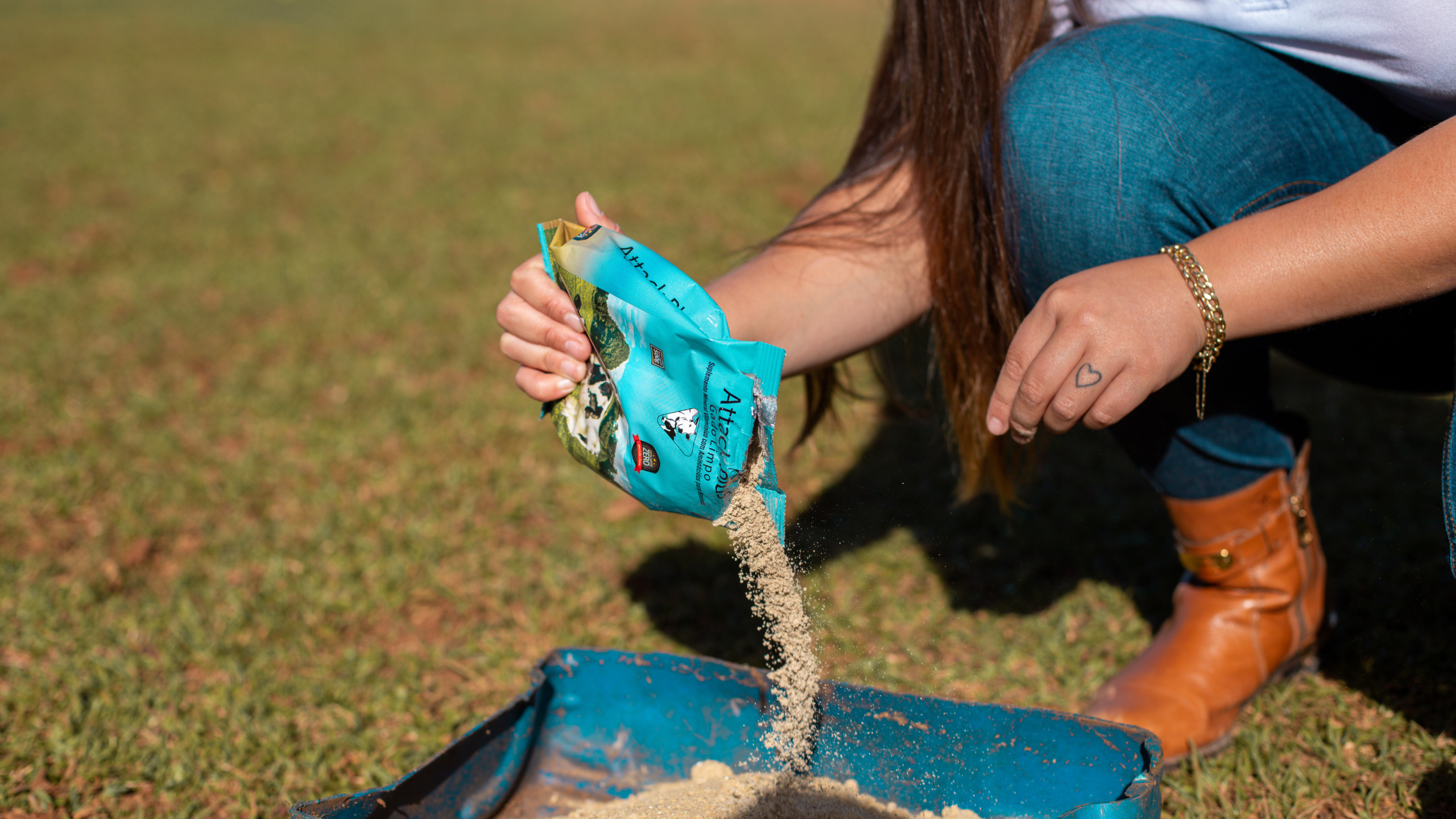 Saúde animal: cuidado que começa de dentro e transforma o bem-estar de cada espécie