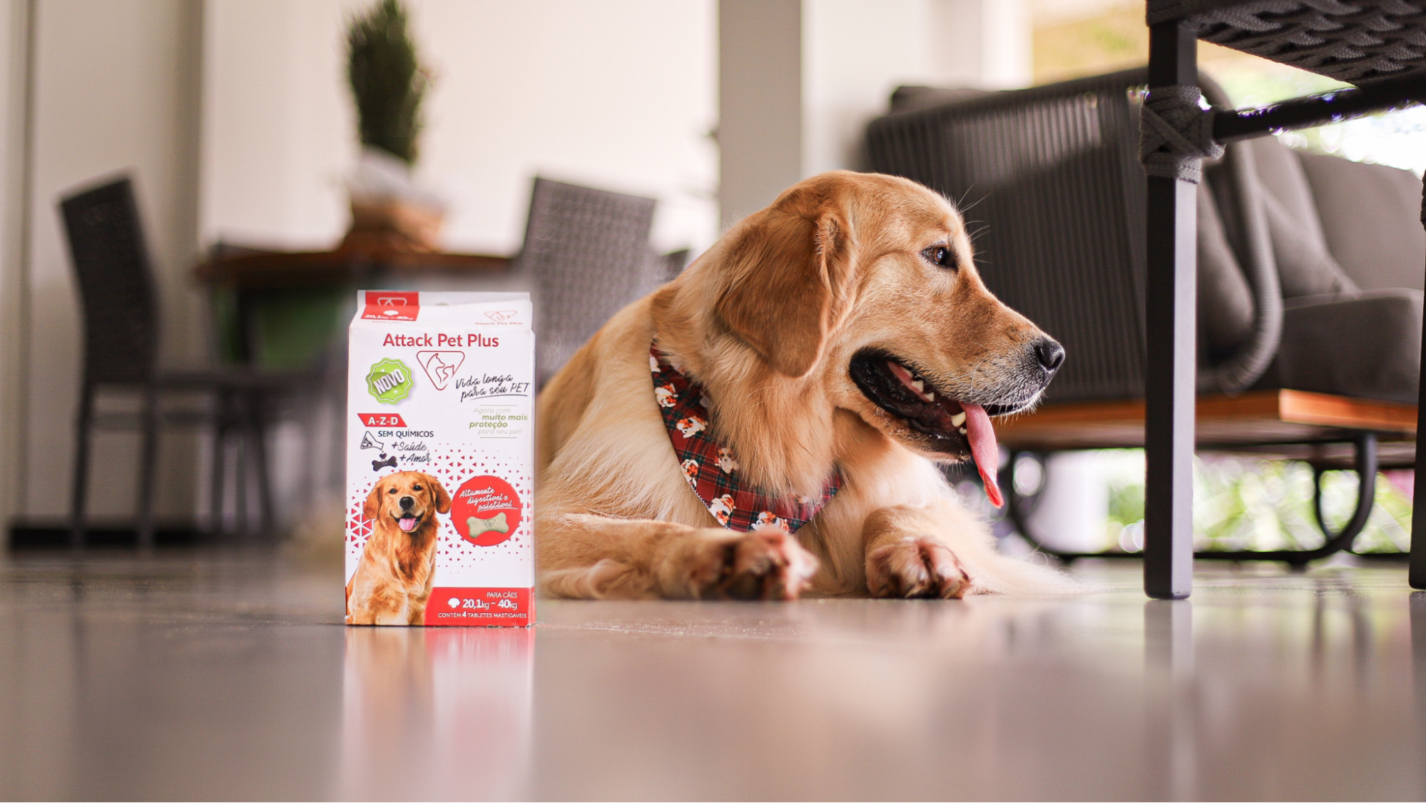 Suplemento canino: o cuidado que começa antes dos sinais