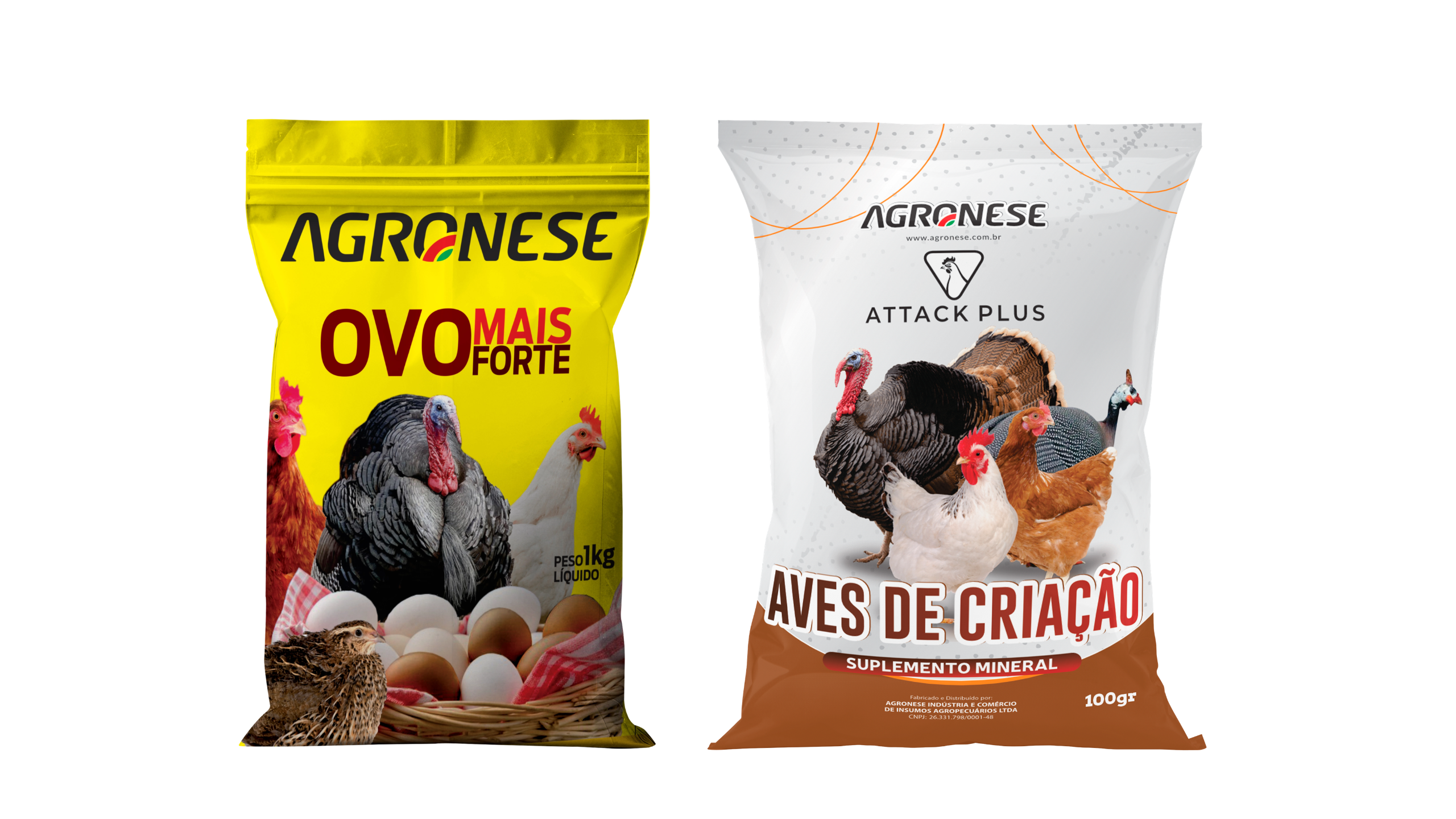 Aves de criação e o impacto da nutrição no lote, por criadores experientes