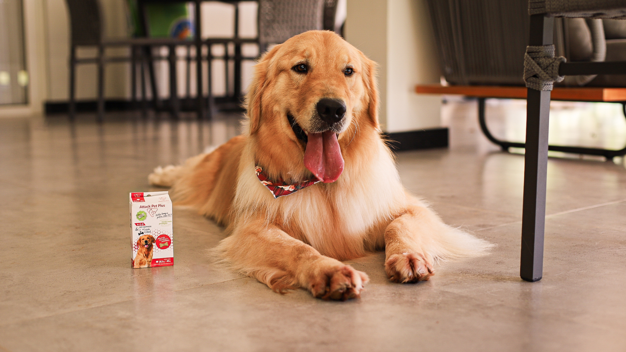 Vitamina para cachorro: o que realmente faz diferença na saúde do seu cão